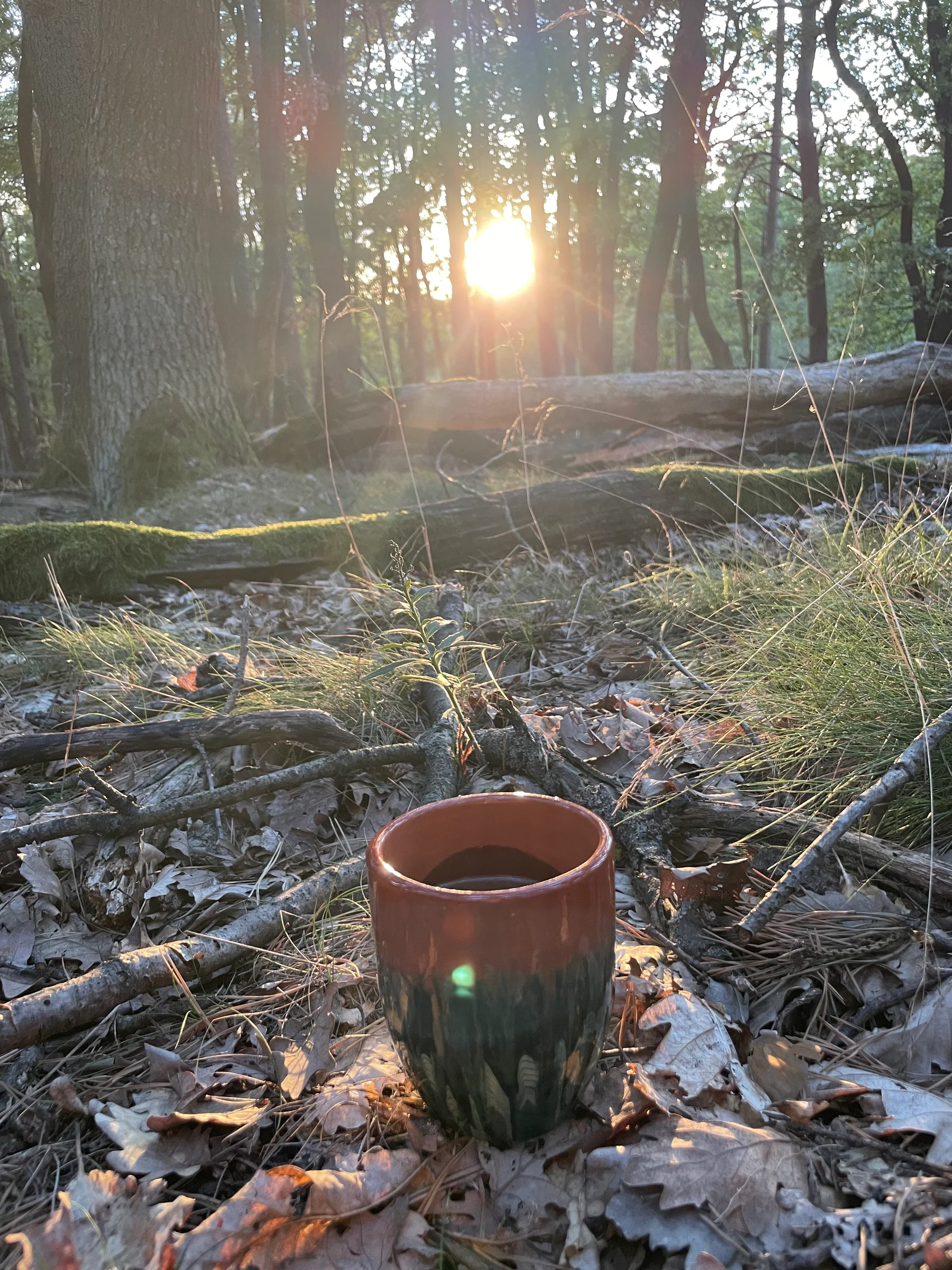 Roots Yoga – Samhain