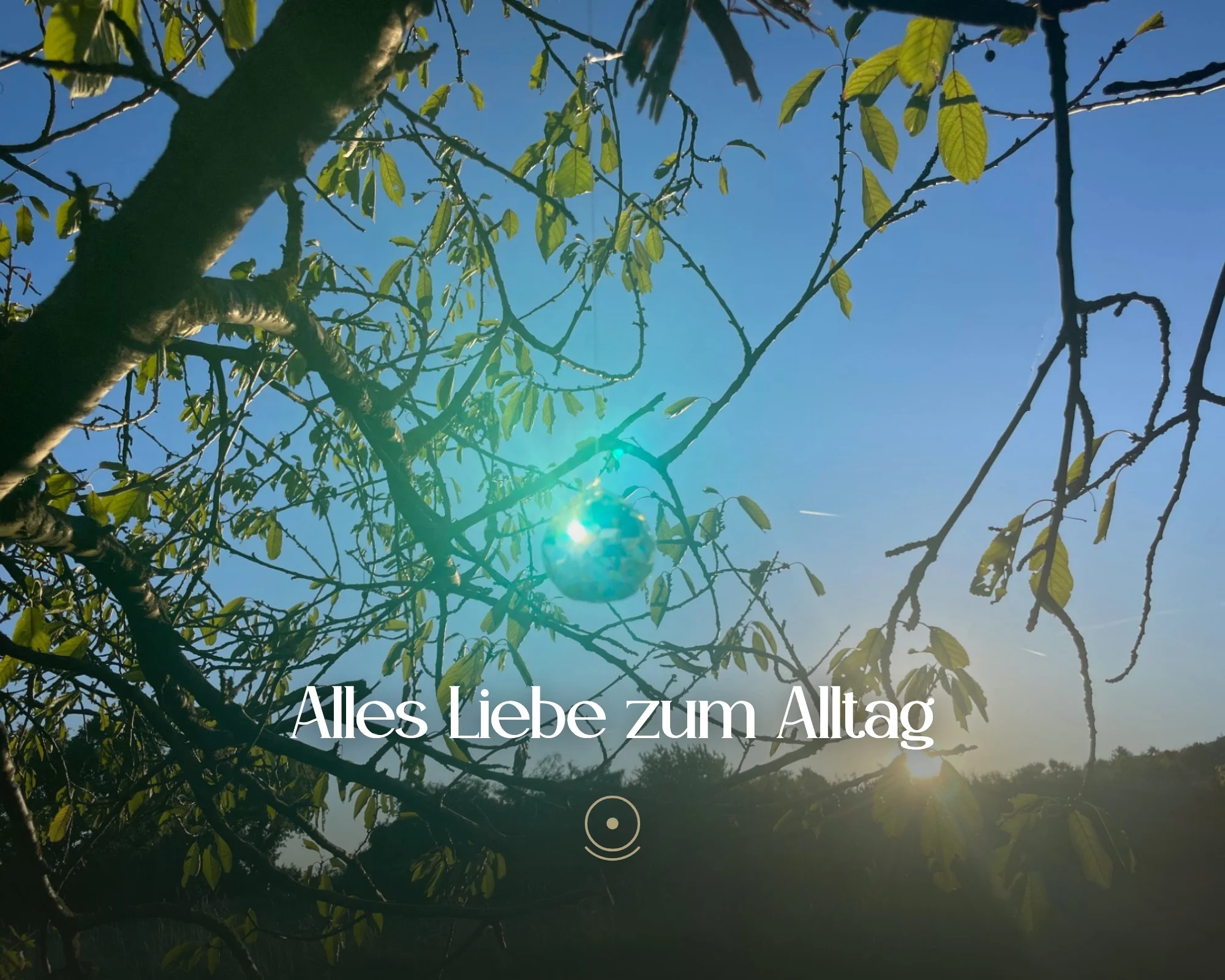 Alles Liebe zum Alltag
