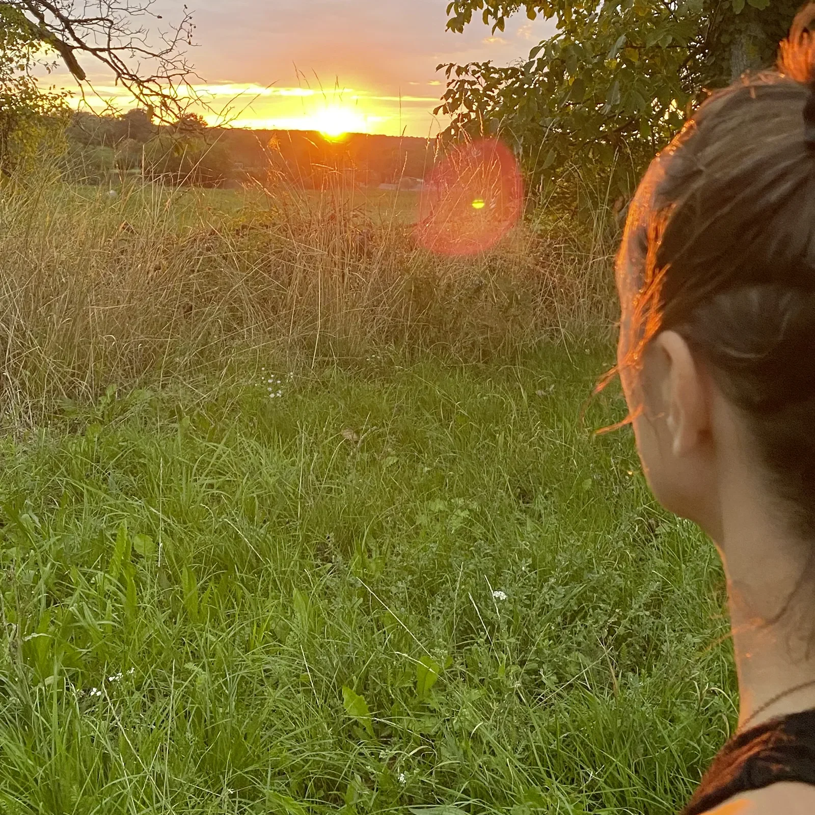 Sunrise Yoga