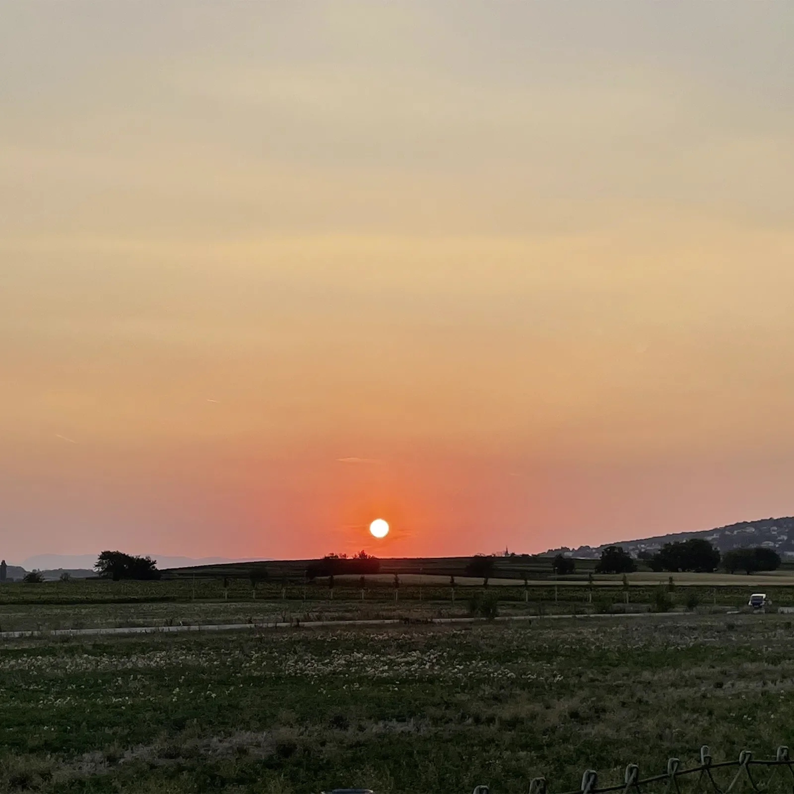Sunset Yoga