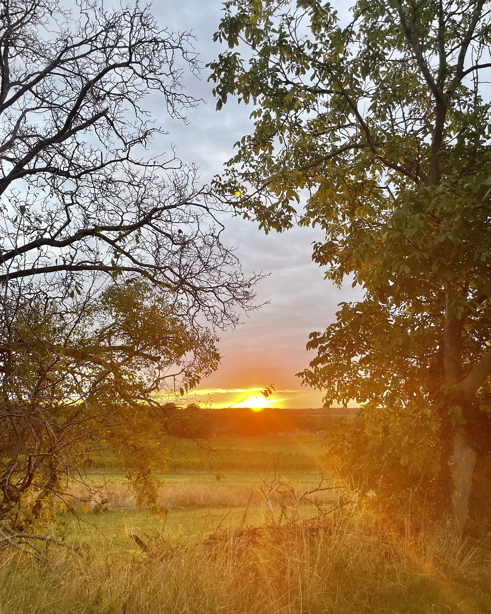 Sunrise Yoga