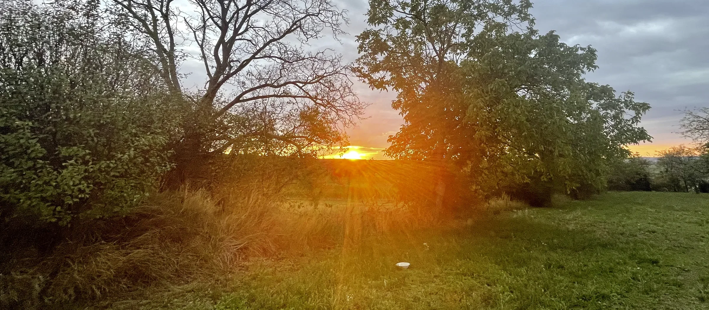 Sunrise Yoga