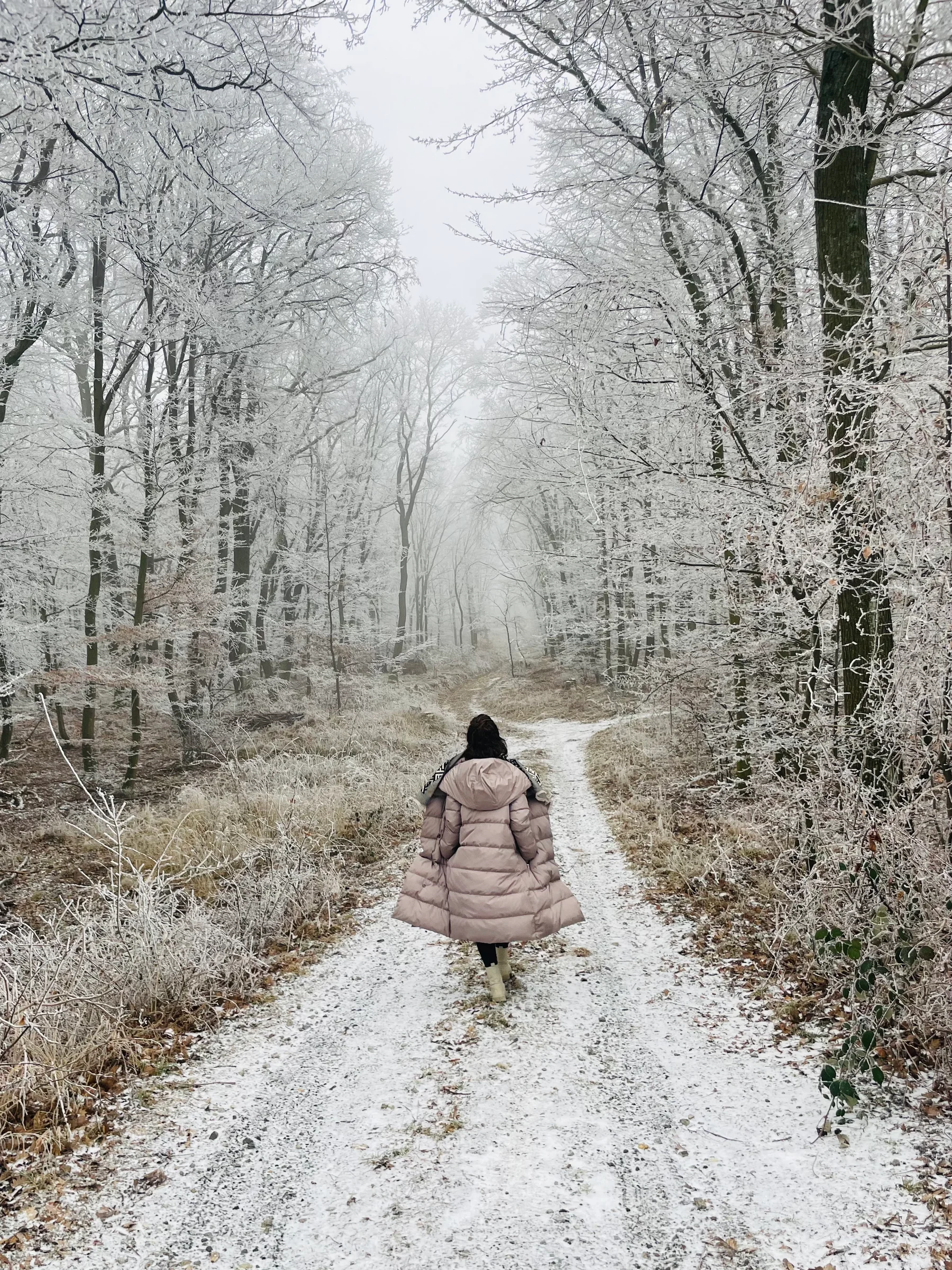 Roots Yoga – Wintersonnenwende